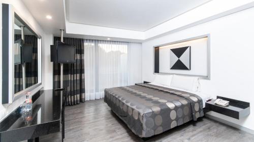 Hotel Harare Mexico Extérieur photo